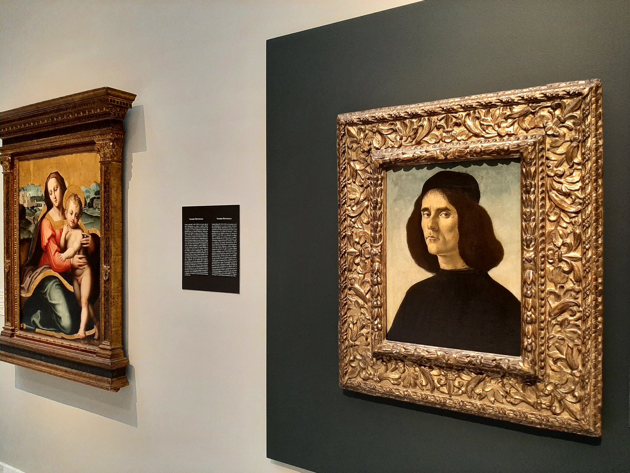 El Museo de Bellas Artes de València ya exhibe el retrato de Michele Marullo pintado por Botticelli